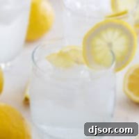 Sweet Lemon Refreshment 7 A close-up of a glass of sweet lemon water, topped with fresh lemon slices.
