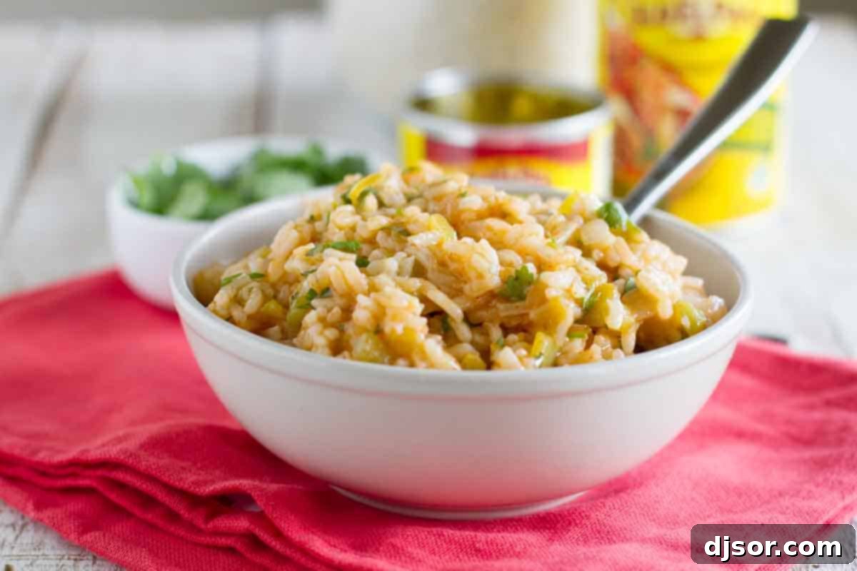 A vibrant bowl of Enchilada Rice, garnished with fresh cilantro, resting on a rustic towel with key ingredients like enchilada sauce, green chiles, and cilantro in the soft-focused background, ready to be enjoyed as a delicious Mexican side dish.