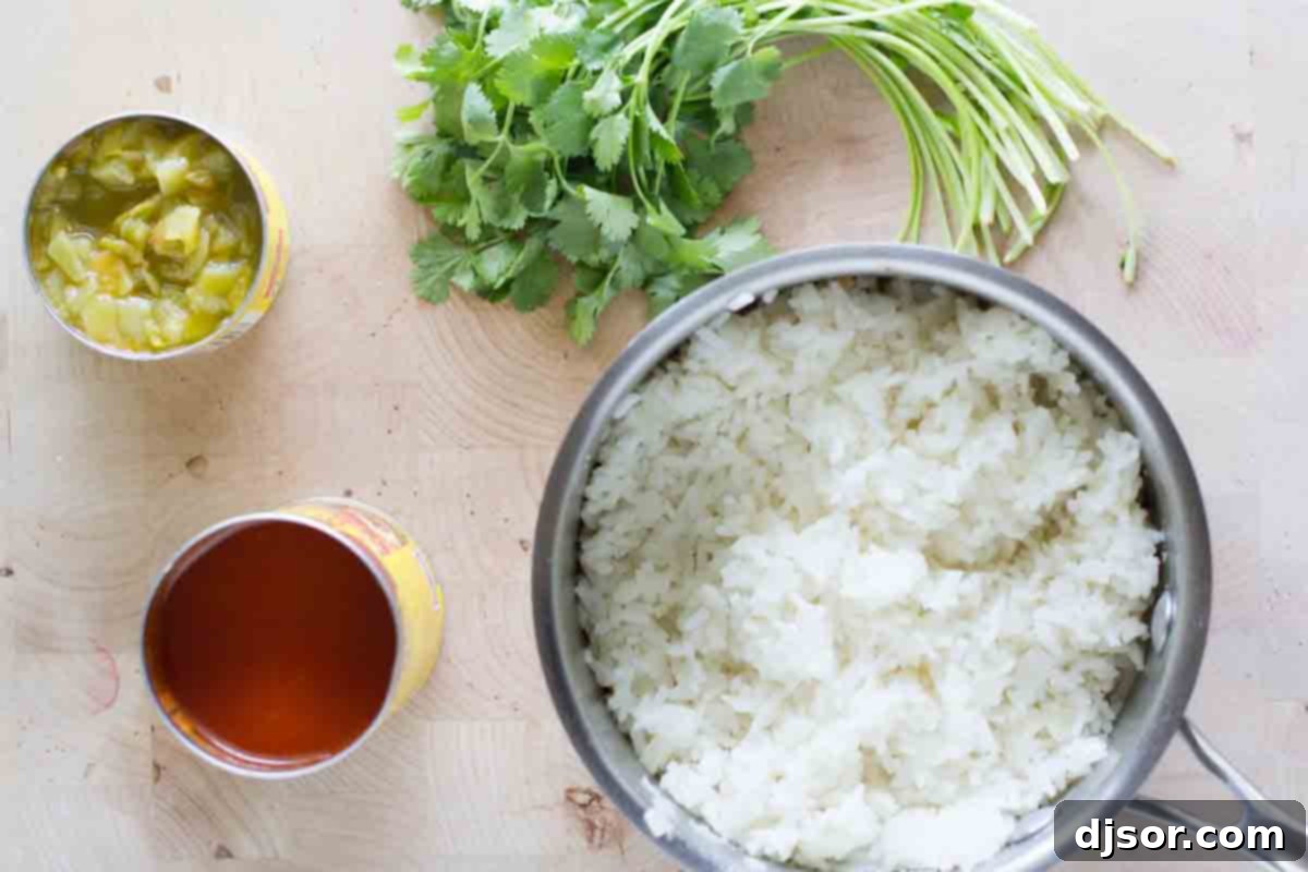 A flat lay photograph showcasing all the fresh and packaged ingredients needed to prepare a delicious batch of Enchilada Rice, including olive oil, onion, uncooked rice, Old El Paso enchilada sauce, green chiles, and a bundle of fresh cilantro.