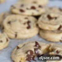 Legendary Toll House Chocolate Chip Cookies 2 A Toll House chocolate chip cookie broken in half, revealing melted chocolate chips and its soft, chewy interior.