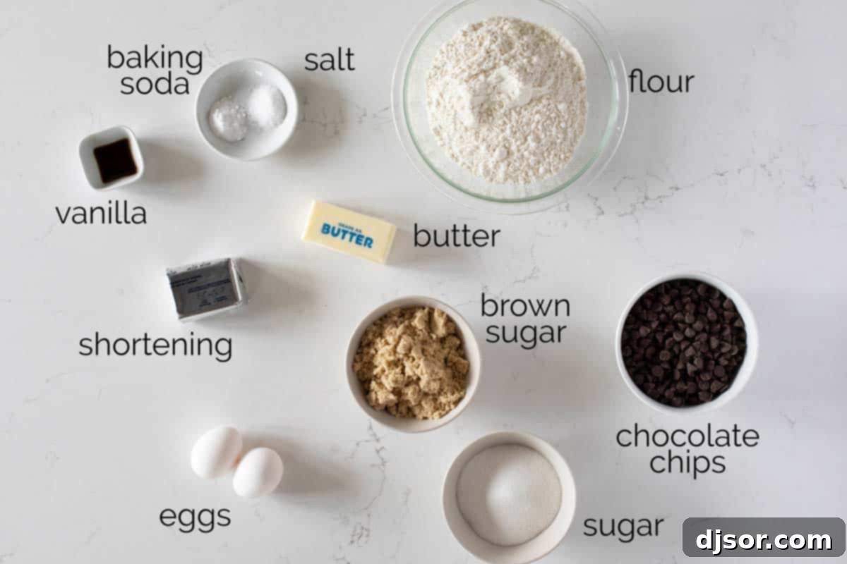 Key ingredients for our improved Toll House Cookie recipe. Essential ingredients for baking perfect Toll House Chocolate Chip Cookies, including flour, sugars, butter, shortening, eggs, and chocolate chips.