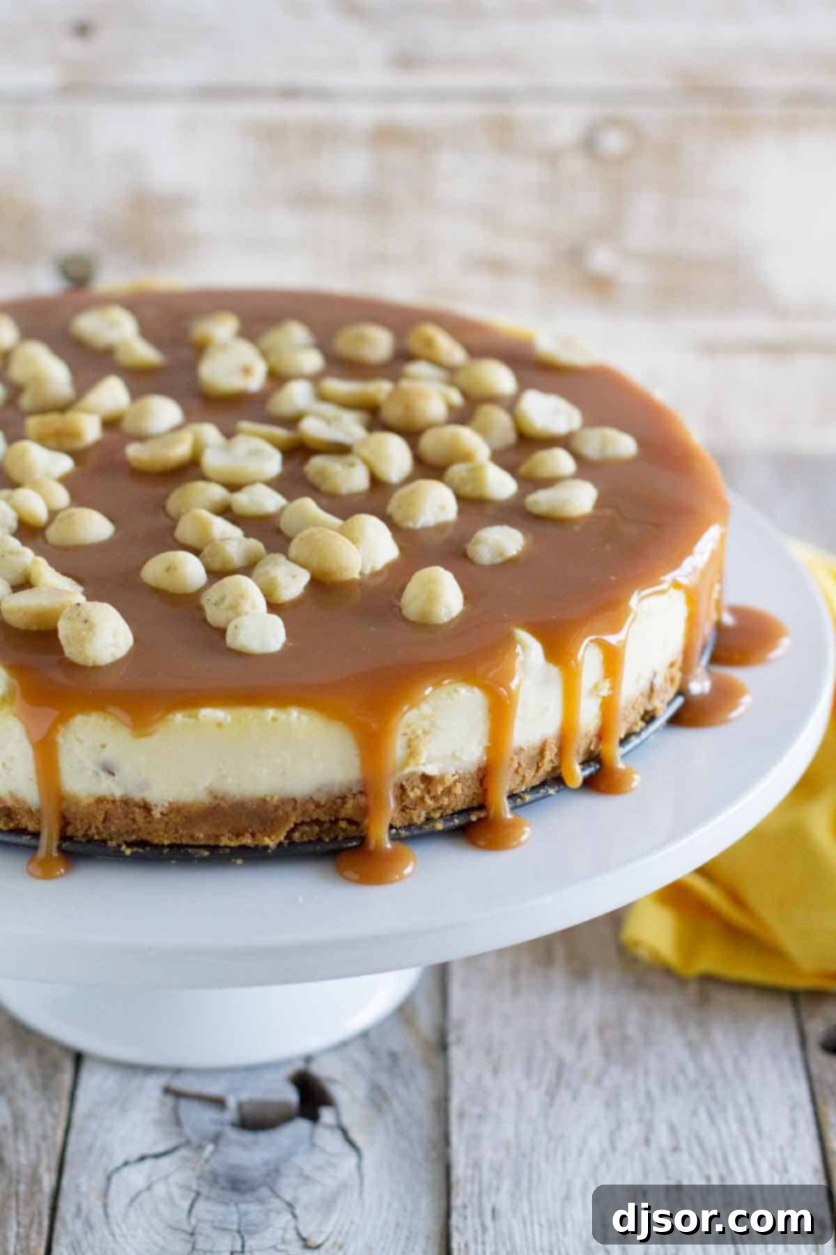 White Chocolate Cheesecake with Macadamia Nuts and Caramel - Creamy white chocolate cheesecake has macadamia nuts throughout, with a homemade caramel sauce poured over the top. A pristine, whole white chocolate cheesecake adorned with macadamia nuts and a glistening layer of homemade caramel sauce, ready for slicing.