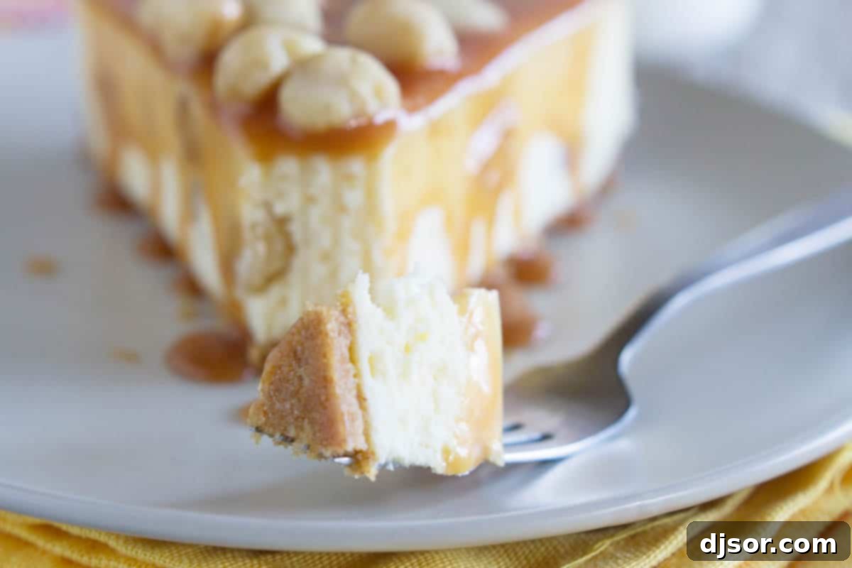 White Chocolate Cheesecake with Macadamia Nuts and Caramel - Creamy white chocolate cheesecake has macadamia nuts throughout, with a homemade caramel sauce poured over the top. A delicious bite of white chocolate cheesecake with caramel and macadamia nuts on a fork, showing its rich texture.