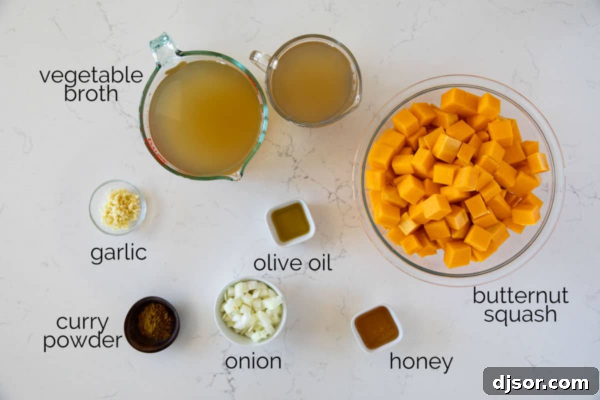 Fresh ingredients laid out for making Curried Butternut Squash Soup, including a whole squash, onion, garlic, olive oil, broth, and curry powder.