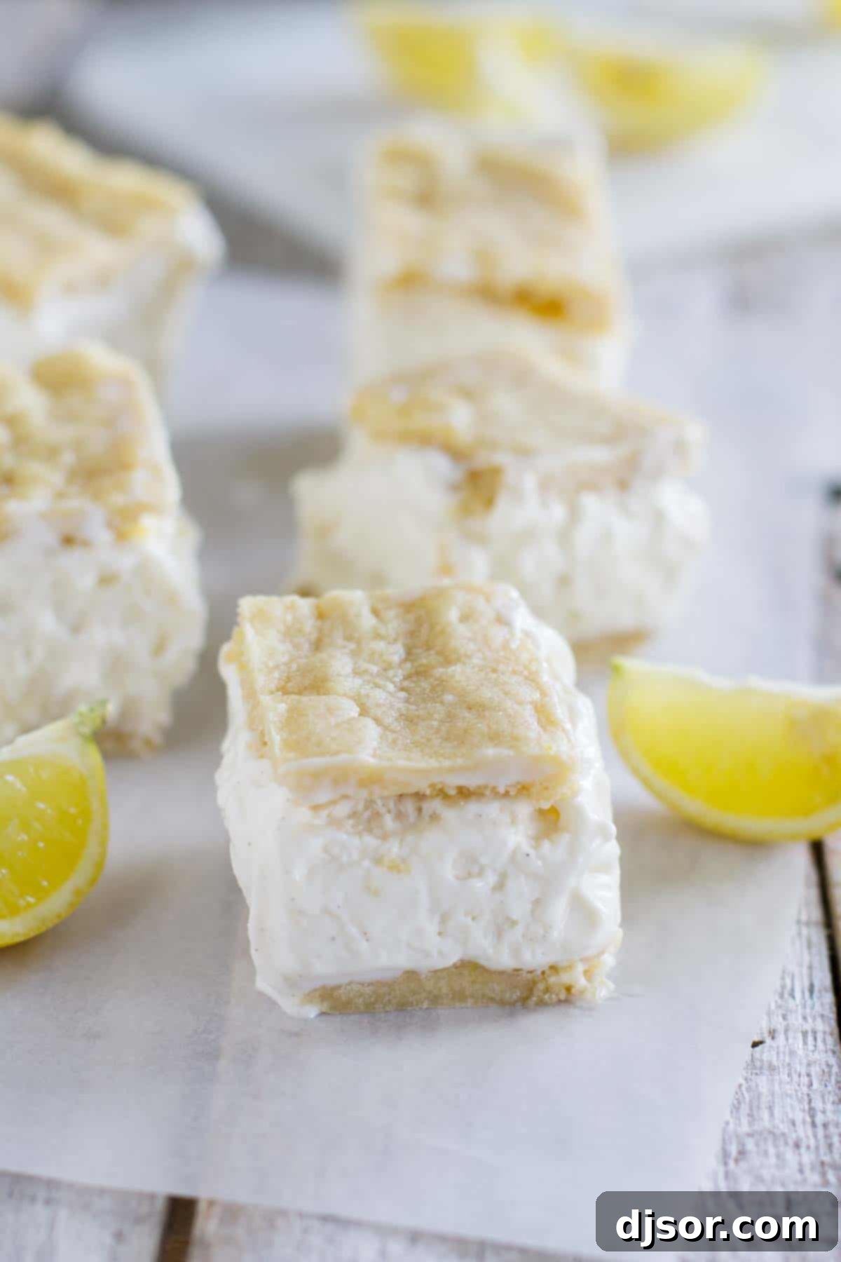 Lemon Ice Cream Sandwiches with lemon slices and mint leaves