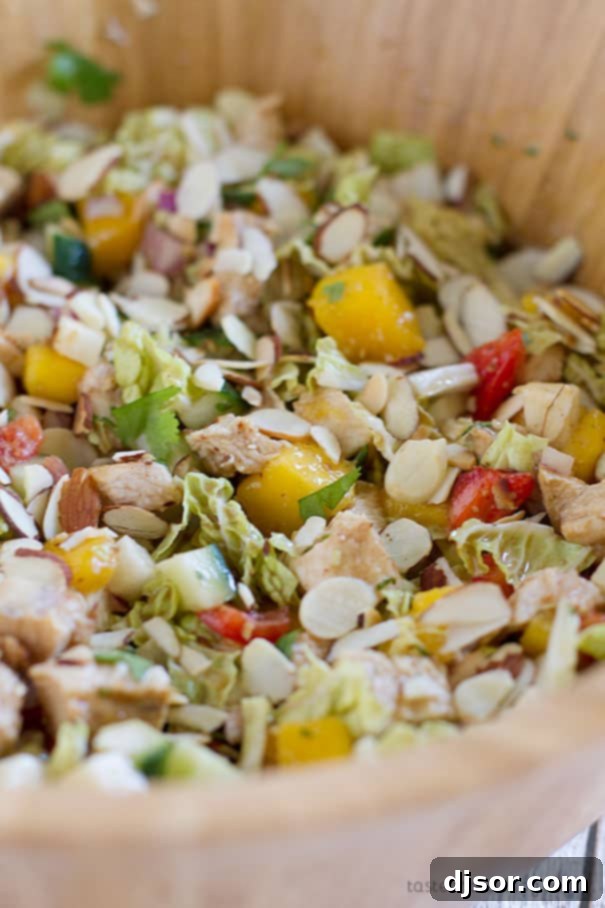 Delicious and healthy Mango Chicken Salad with chopped chicken, fresh mango, and colorful vegetables.