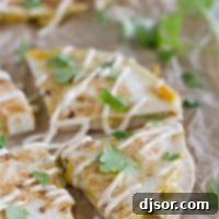 Creamy Quesadilla Recipe