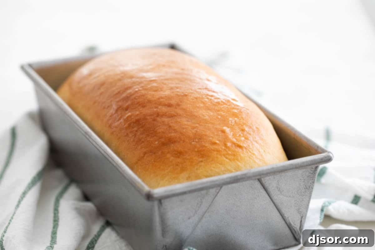 Made from scratch, this Homemade White Bread Recipe is perfect for sandwiches, toast, or simply with butter and jam. You won’t believe just how easy it is! Freshly baked loaf of homemade white bread cooling in a pan, showcasing a golden-brown crust.