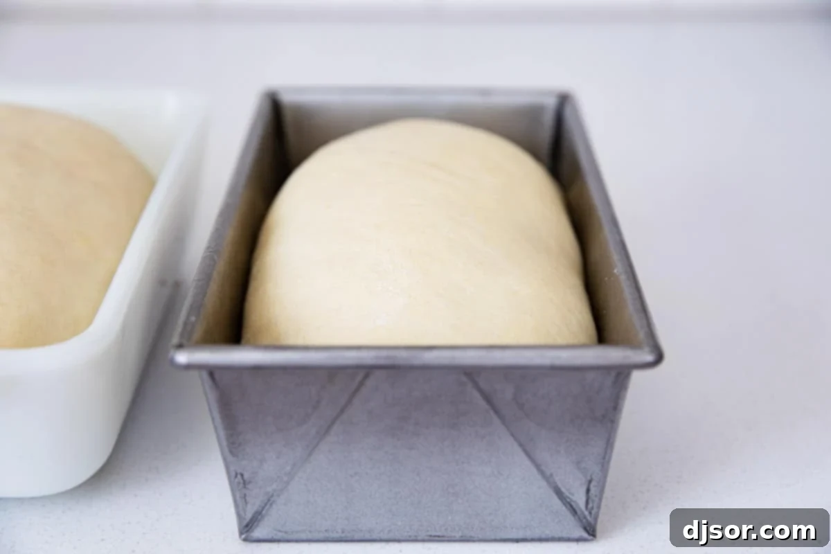 Made from scratch, this Homemade White Bread Recipe is perfect for sandwiches, toast, or simply with butter and jam. You won’t believe just how easy it is! White bread dough significantly risen, filling a bowl, ready for shaping.