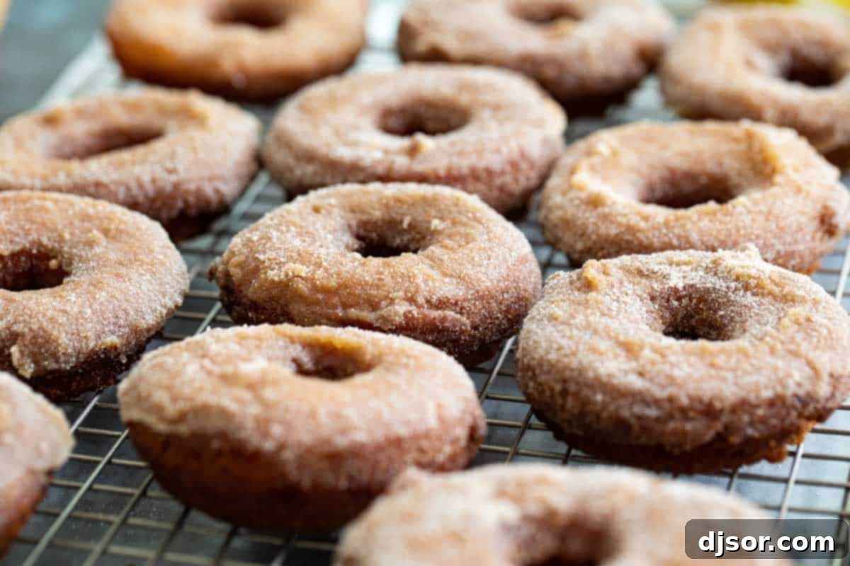 Homemade Apple Cider Donuts: Your Perfect Fall Baking Project Homemade Apple Cider Donuts with cinnamon sugar and apple slices, perfect for a fall treat