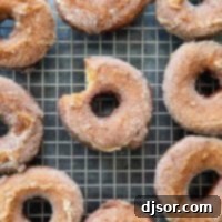 Spiced Autumn Cider Donuts 2 Homemade Apple Cider Donuts