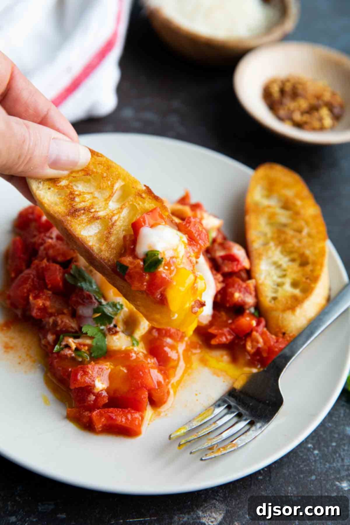 grilled bread topped with tomatoes and eggs