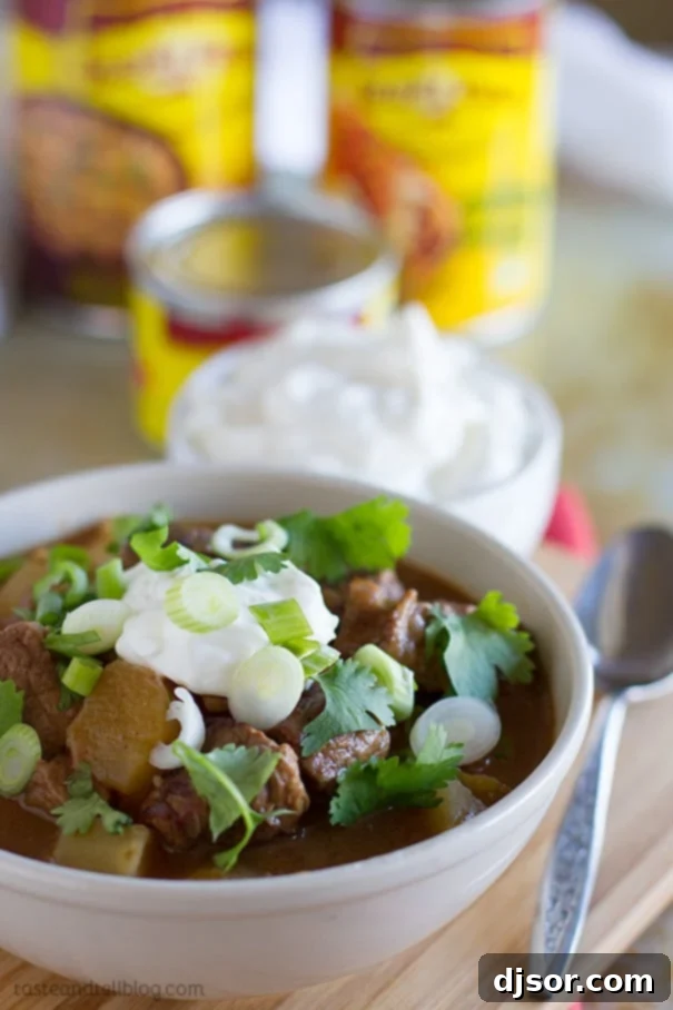 Fiesta Slow Cooker Beef Stew 2 Hearty Slow Cooker Enchilada Beef Stew, perfect for comfort food