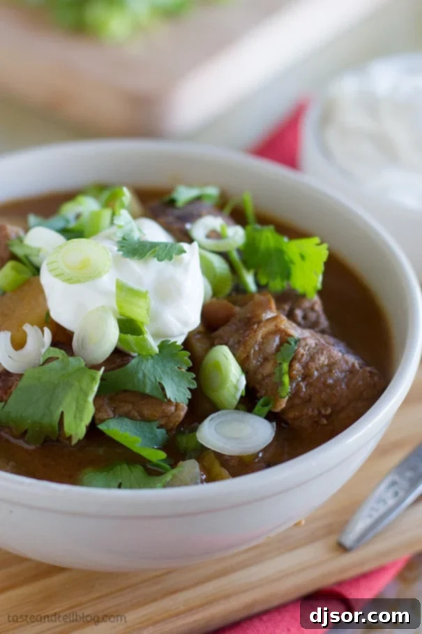 Fiesta Slow Cooker Beef Stew 4 Delicious Slow Cooker Enchilada Beef Stew served with fresh toppings