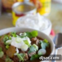 Fiesta Slow Cooker Beef Stew 5 Slow Cooker Enchilada Beef Stew