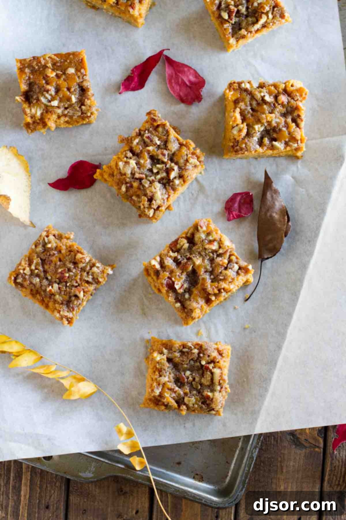 An inviting overhead view of freshly baked Pumpkin Pie Bars, showcasing their golden-brown topping and creamy pumpkin filling, arranged on a cooling rack.