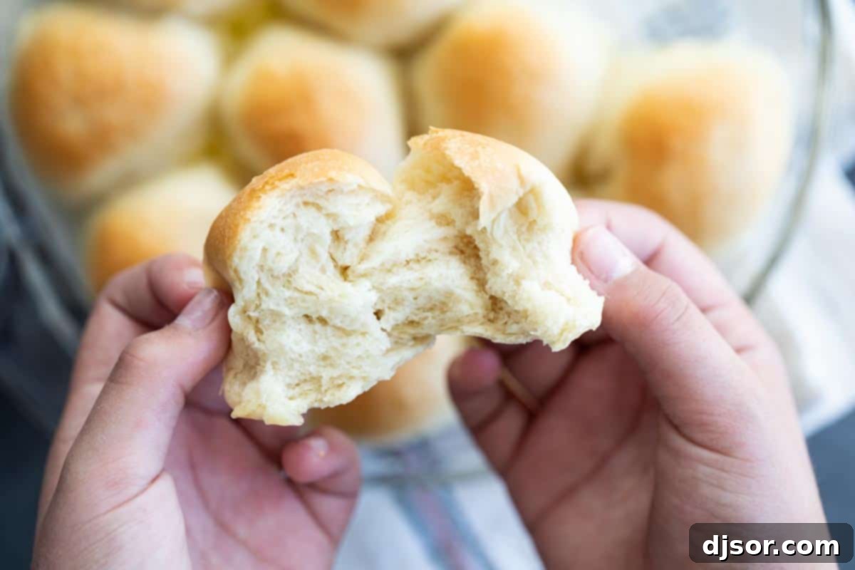 Close-up of a soft, fluffy dinner roll pulled apart to show its tender interior texture.