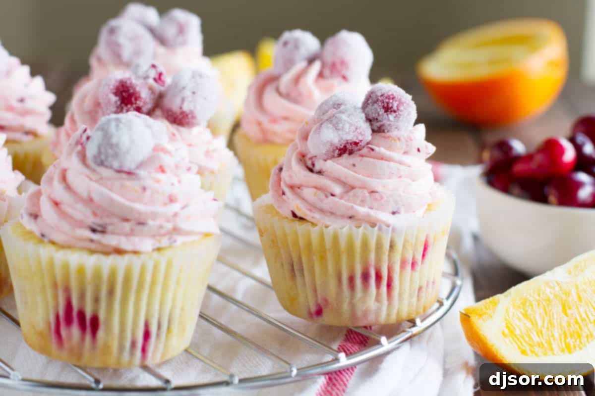 Exquisite Cranberry Orange Cupcakes with vibrant citrus and berry notes, perfect for celebrations. Cranberry orange cupcakes made with fresh cranberries and fresh oranges, beautifully arranged.