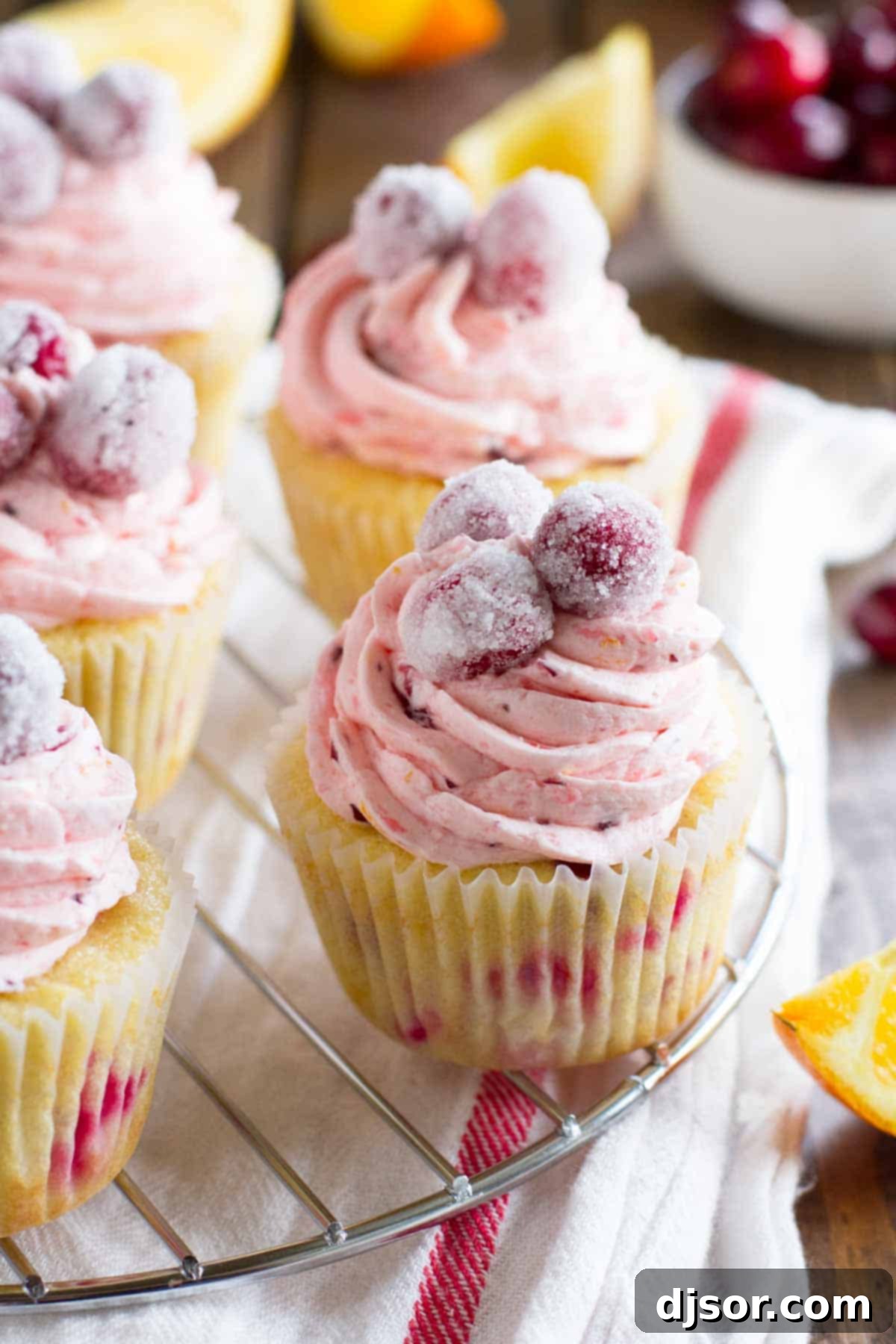 Freshly baked Cranberry Orange Cupcakes with vibrant toppings. Cranberry Orange Cupcakes cooling on a wire rack, beautifully topped with sugared cranberries, ready to be enjoyed.