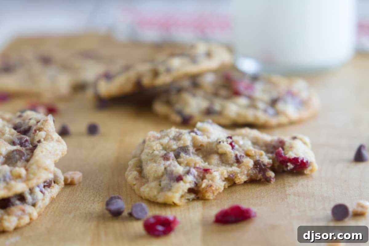 Experience the ultimate cookie indulgence with these Oatmeal Cranberry Cookies, loaded with chocolate chips, toffee, and tangy dried cranberries. A close-up shot of a perfect Oatmeal Cranberry Cookie with Chocolate and Toffee, with a bite taken, revealing its chewy texture and delicious mix-ins.