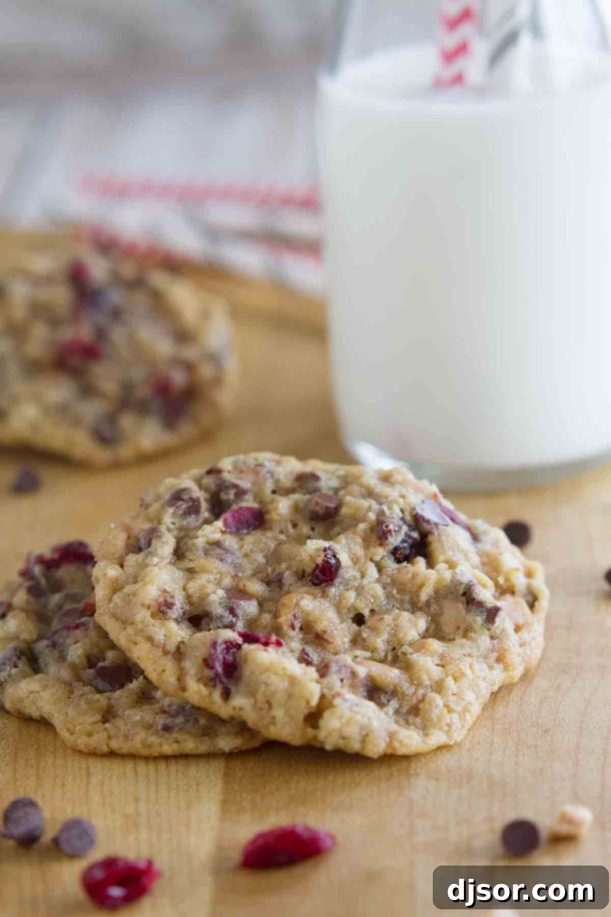 A tempting pair of Oatmeal Cranberry Cookies with Chocolate and Toffee, ready to be enjoyed. Two Oatmeal Cranberry Cookies with Chocolate and Toffee in the foreground, with more blurred in the background.