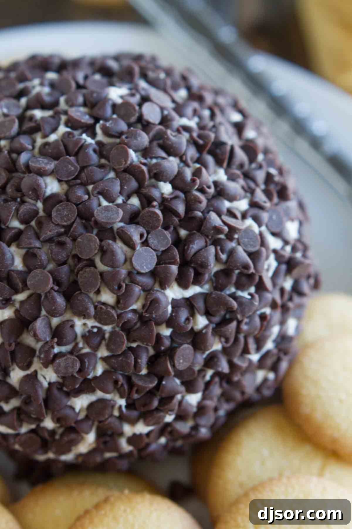 Cannoli Cheese Ball - a dessert cheese ball made from cream cheese that tastes like cannoli filling. Perfect for parties and easy to make.