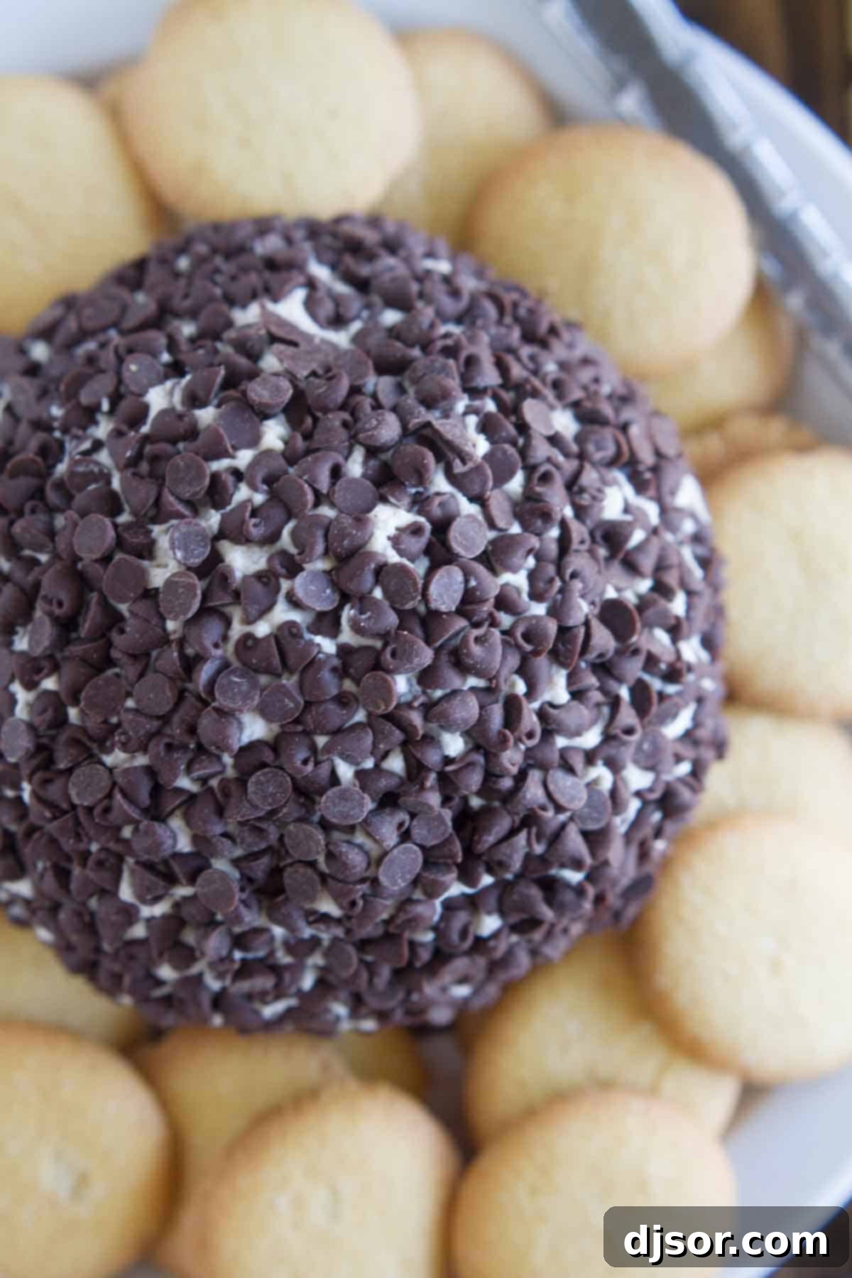 Cannoli Cheese Ball covered in mini chocolate chips served with crispy vanilla wafers for dipping.