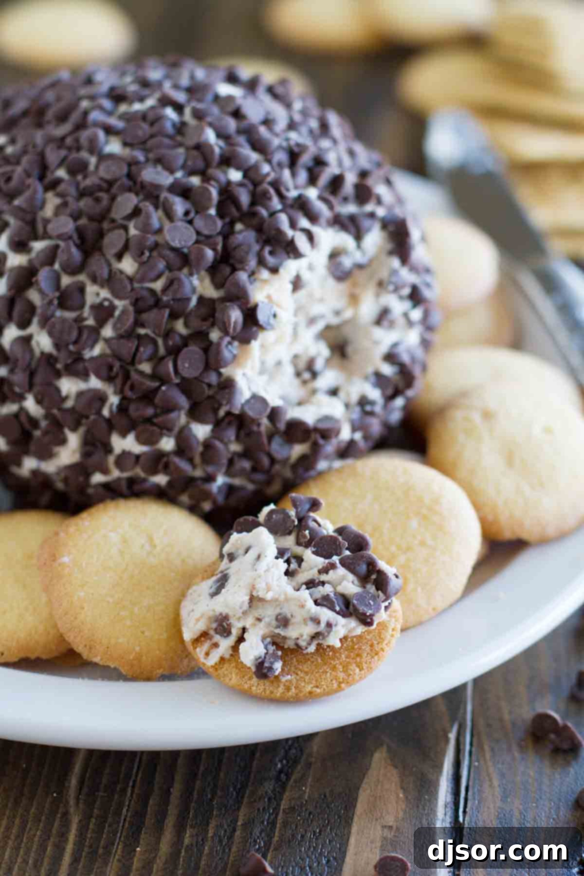 A delicious Cannoli Cheese ball on a plate surrounded by crunchy vanilla wafers, ready to be enjoyed.