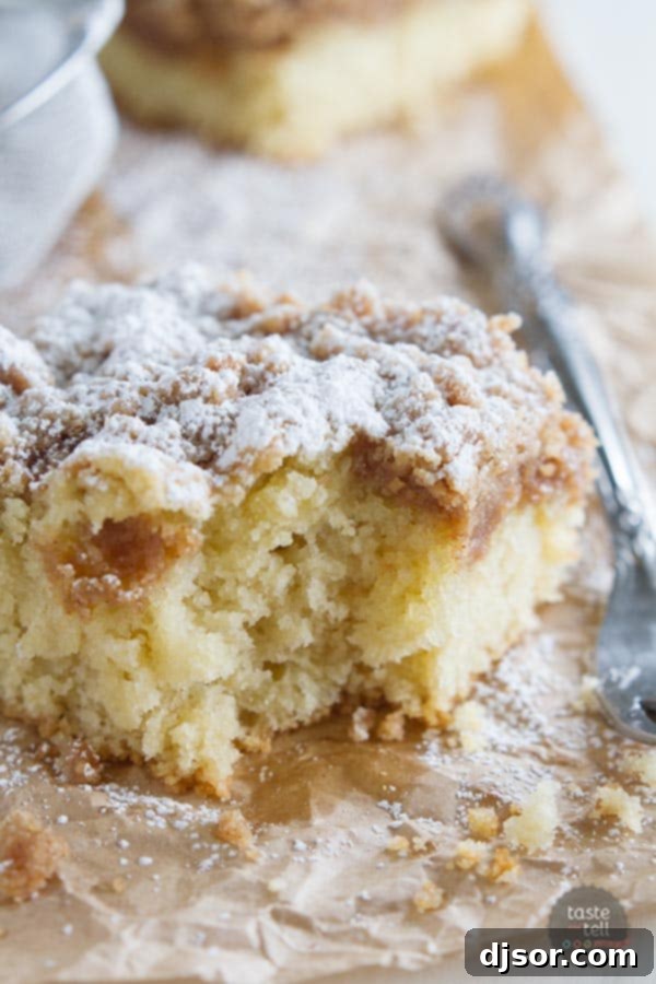 A close-up shot of a thick layer of sweet, cinnamon-spiced crumbs perfectly crowning a tender and moist cake, highlighting the irresistible texture of this Crumb Cake Recipe.