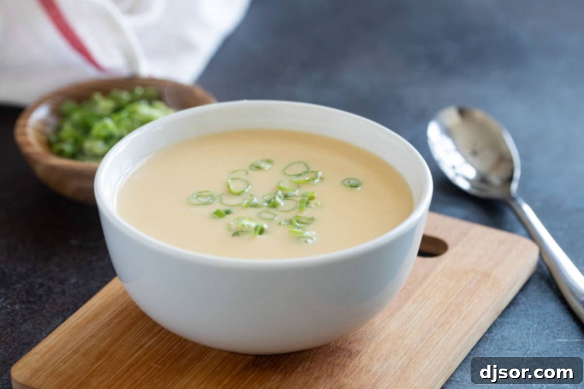 A beautifully presented bowl of silky smooth Cheddar Cheese Soup, garnished with fresh green onions, with a spoon resting in it. The background shows more green onions, suggesting freshness and flavor.