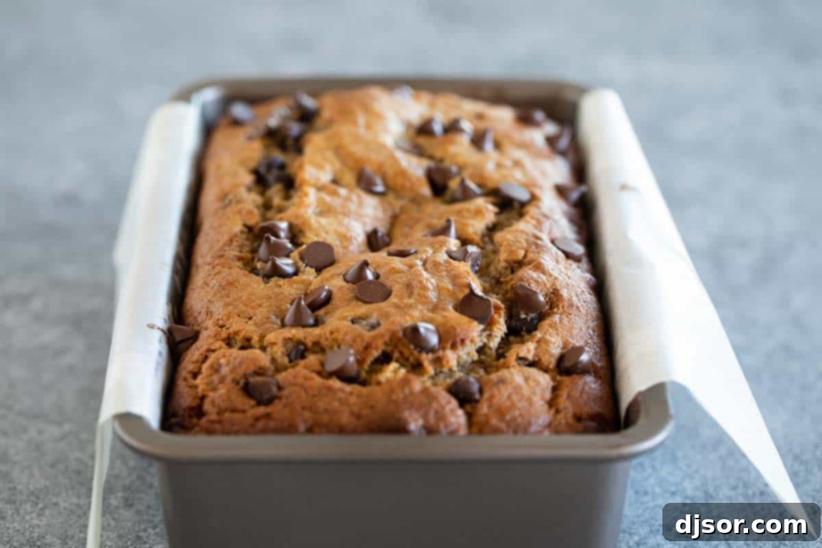 Fit for a king, this Peanut Butter Banana Bread with Chocolate Chips is a fun take on Elvis’ favorite flavor combination - peanut butter and bananas. A freshly baked, golden-brown loaf of Peanut Butter Banana Bread with Chocolate Chips, still in its 9x5 inch loaf pan, cooling slightly on a wire rack.
