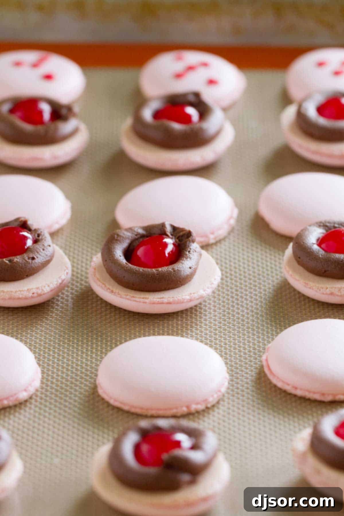 Parisian Chocolate Cherry Macarons 3 Close-up of a perfectly filled Chocolate Cherry French Macaron, showcasing the rich chocolate buttercream and a vibrant maraschino cherry.