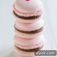 Parisian Chocolate Cherry Macarons 5 Three Chocolate Cherry French Macarons stacked on top of each other.