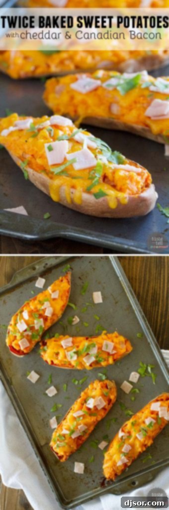 Cheesy and creamy, these Twice Baked Sweet Potatoes with Cheddar and Canadian Bacon make a great side dish or a filling main dish.