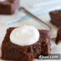 Fudgy Coconut Flour Brownies 5 Grain Free Coconut Flour Brownies