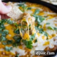 Loaded Beef & Bean Dip 2 Cheesy Dip with Beef and Beans