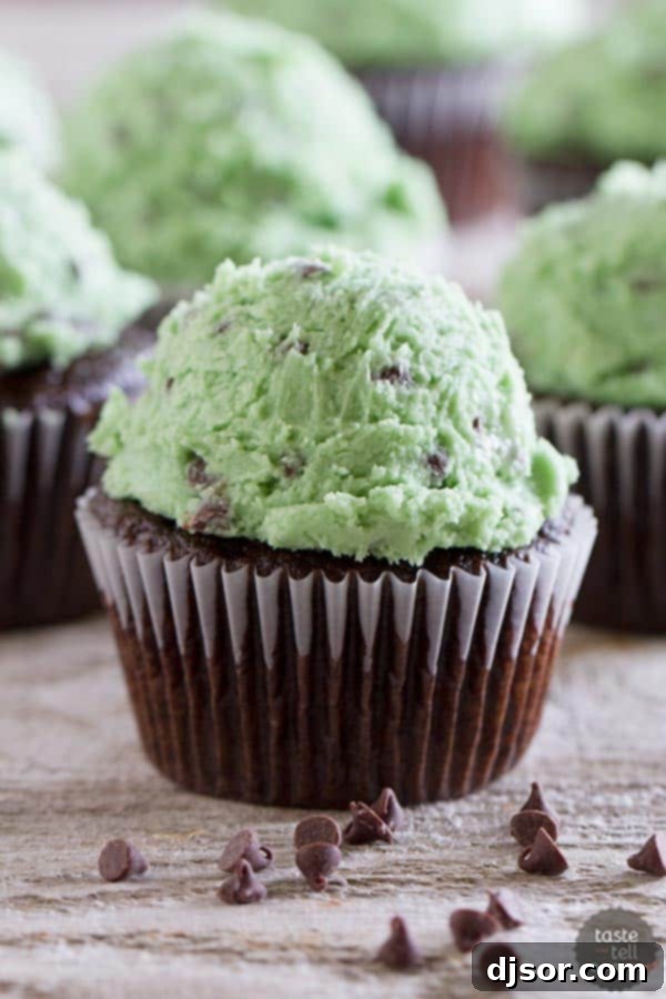 Decadent Mint Chocolate Chip Cookie Dough Frosting 2 Rich Mint Chocolate Chip Cookie Dough Frosting swirled on top of a chocolate cupcake.