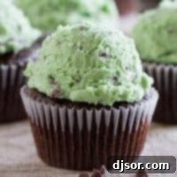 Decadent Mint Chocolate Chip Cookie Dough Frosting 5 Mint Chocolate Chip Cookie Dough Frosting - The ultimate dessert topping.