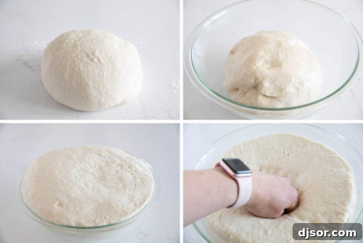 This may be the perfect sandwich bread! This Potato Bread is made with mashed potatoes which make for a loaf of bread that is sturdy, yet soft and fluffy. rising dough for potato bread