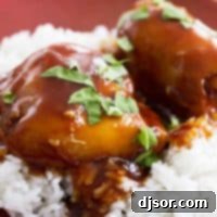 Slow Cooker Honey Garlic Chicken over rice.