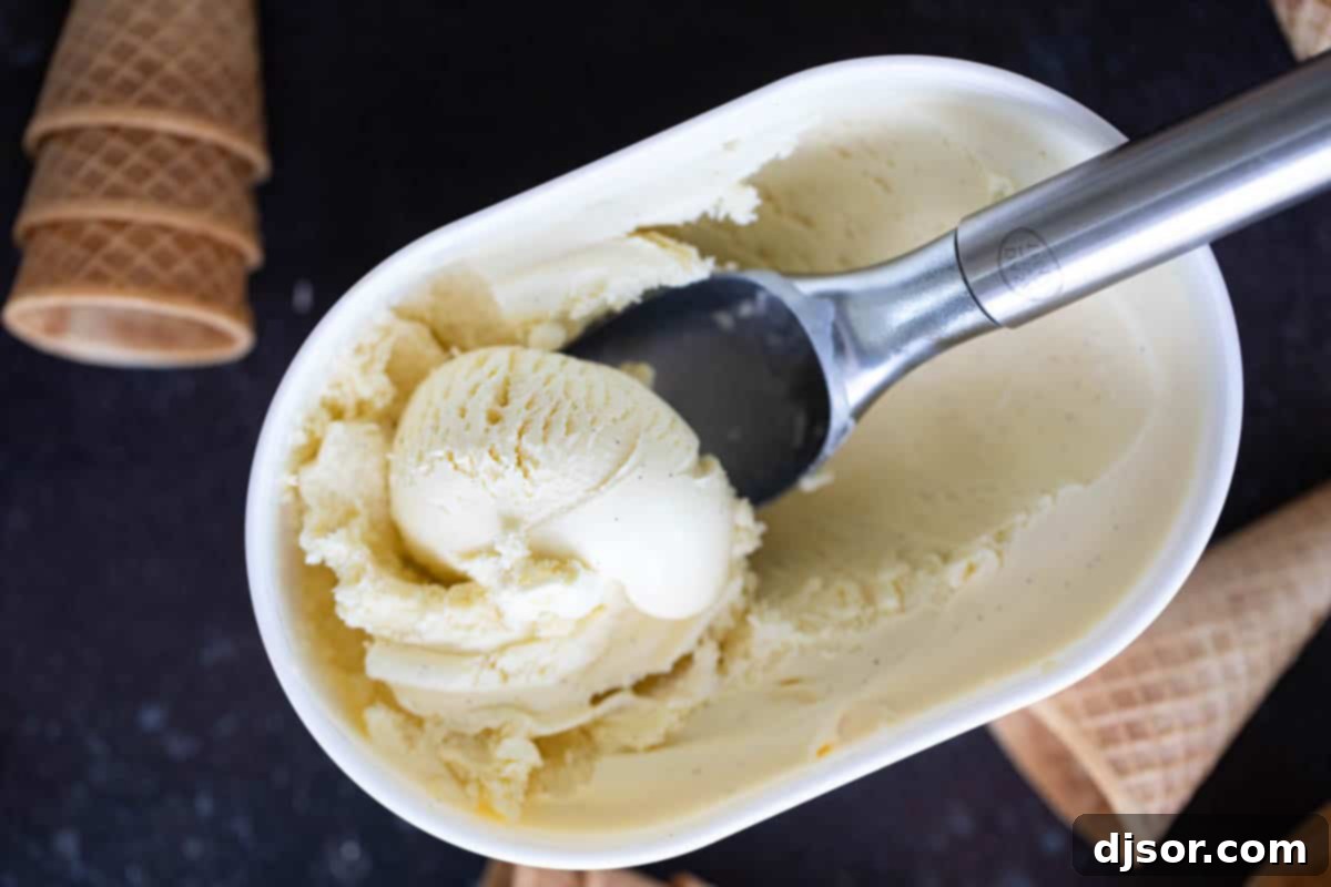 Overhead view of a carton of homemade vanilla ice cream with a scoop