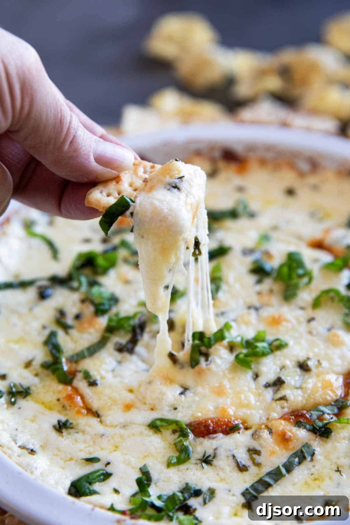 Creamy White Cheese Dip 8 Using a cracker to scoop out white cheese dip.