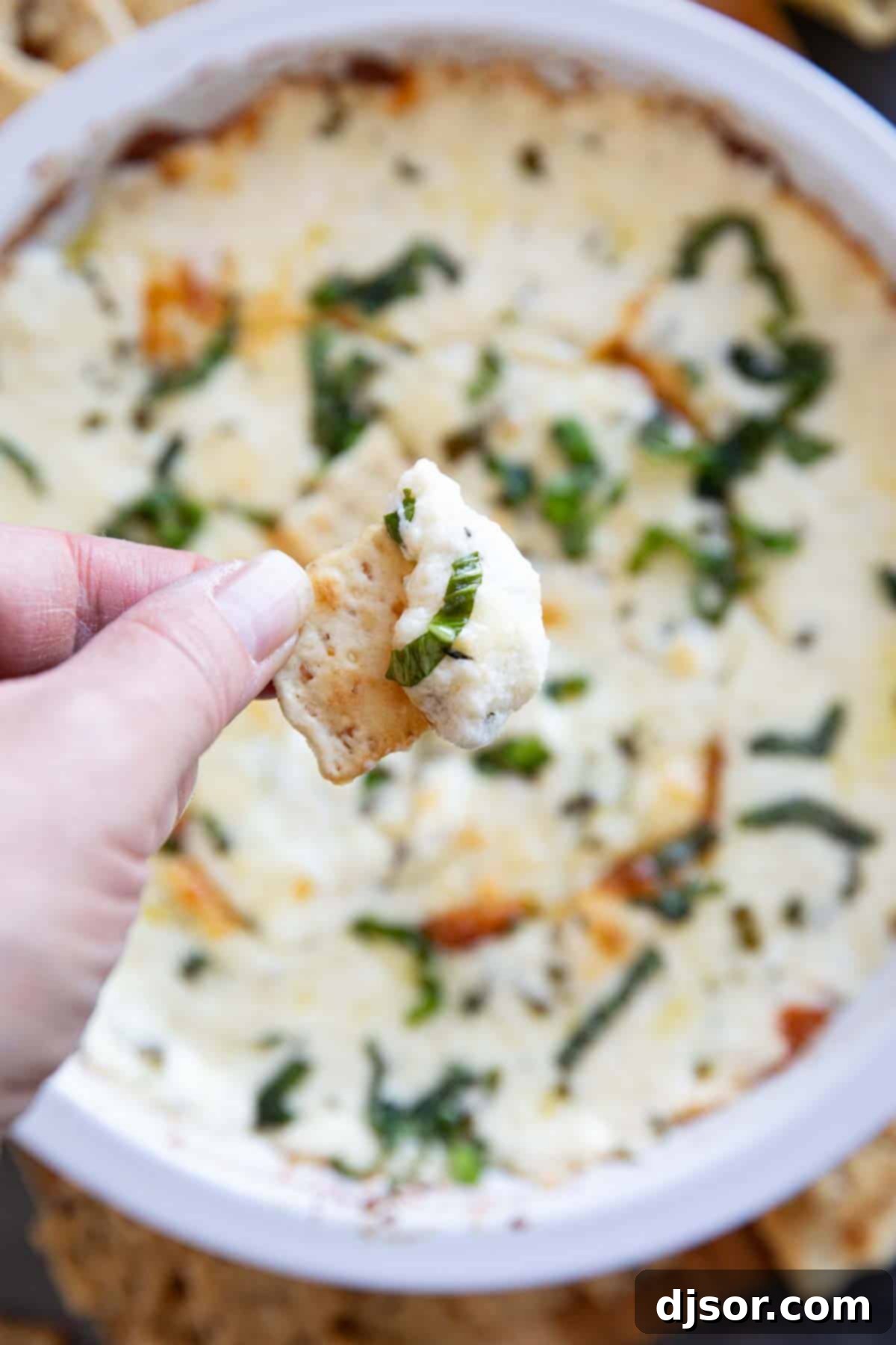 Creamy White Cheese Dip 9 Cracker with white cheese dip on it over a dish of dip.