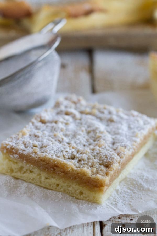 Jewish Baker's Crumb Bun Pastry Secrets Reviewed 2 A rich dough is made into a crust that is topped with lots of streusel in these Crumb Buns. Plus a review of A Jewish Baker’s Pasty Secrets.