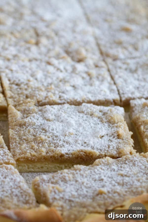 Jewish Baker's Crumb Bun Pastry Secrets Reviewed 4 A rich dough is made into a crust that is topped with lots of streusel in these Crumb Buns. Plus a review of A Jewish Baker’s Pasty Secrets.