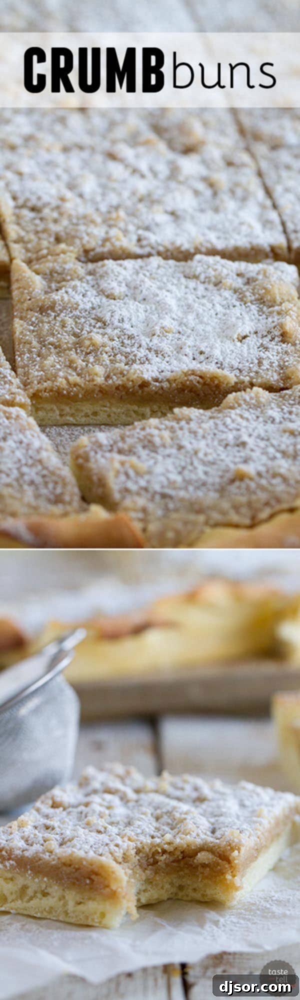 Jewish Baker's Crumb Bun Pastry Secrets Reviewed 7 A rich dough is made into a crust that is topped with lots of streusel in this Crumb Buns. Plus a review of A Jewish Baker’s Pasty Secrets.
