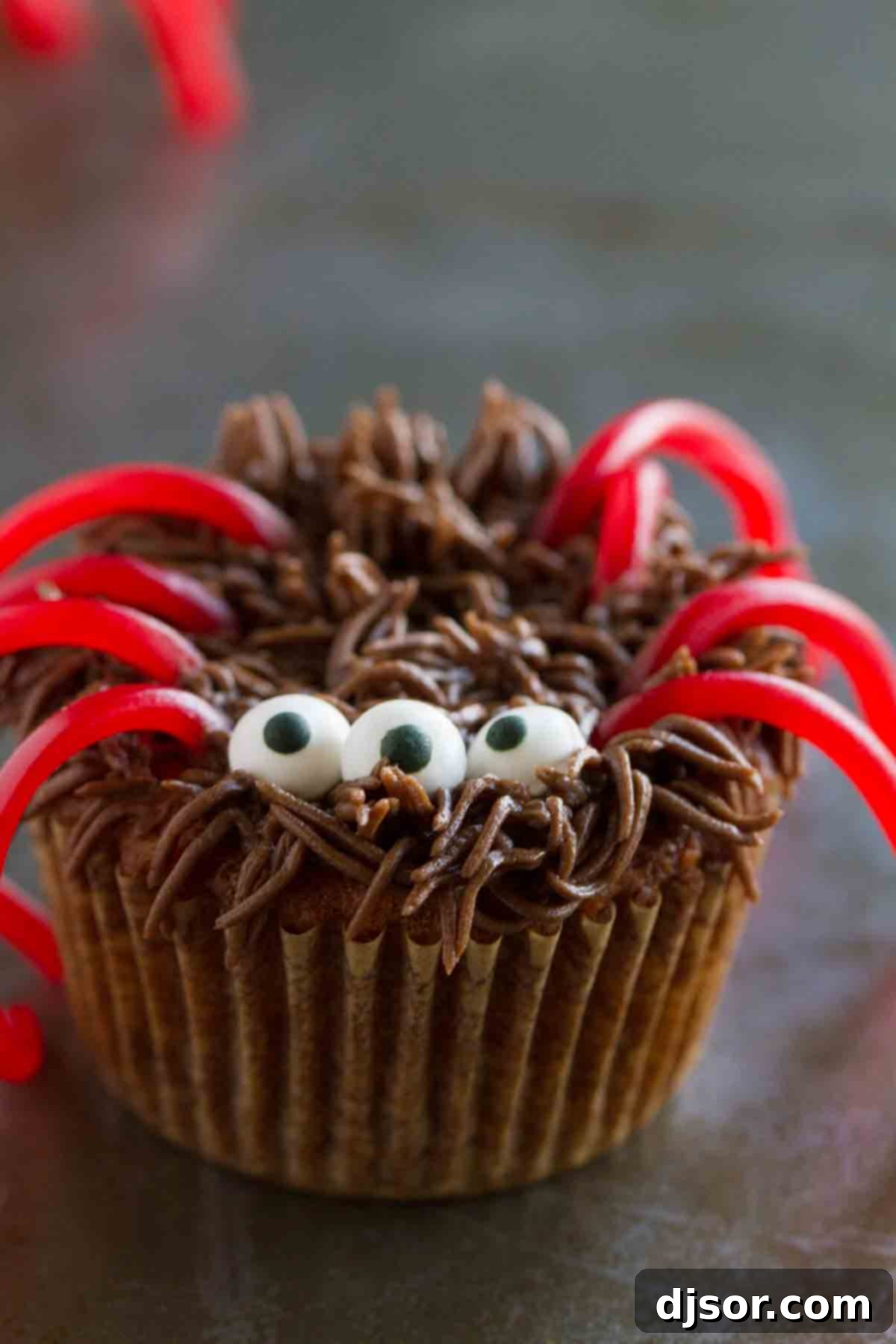 A decorated Pumpkin Cheesecake Spider Cupcake, topped with chocolate buttercream, candy eyes, and licorice legs, resembling a cute spider.