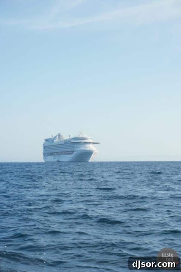 Ruby Princess Royal Voyage 26 Wide view of the Ruby Princess deck, showcasing its spaciousness and various activity zones.