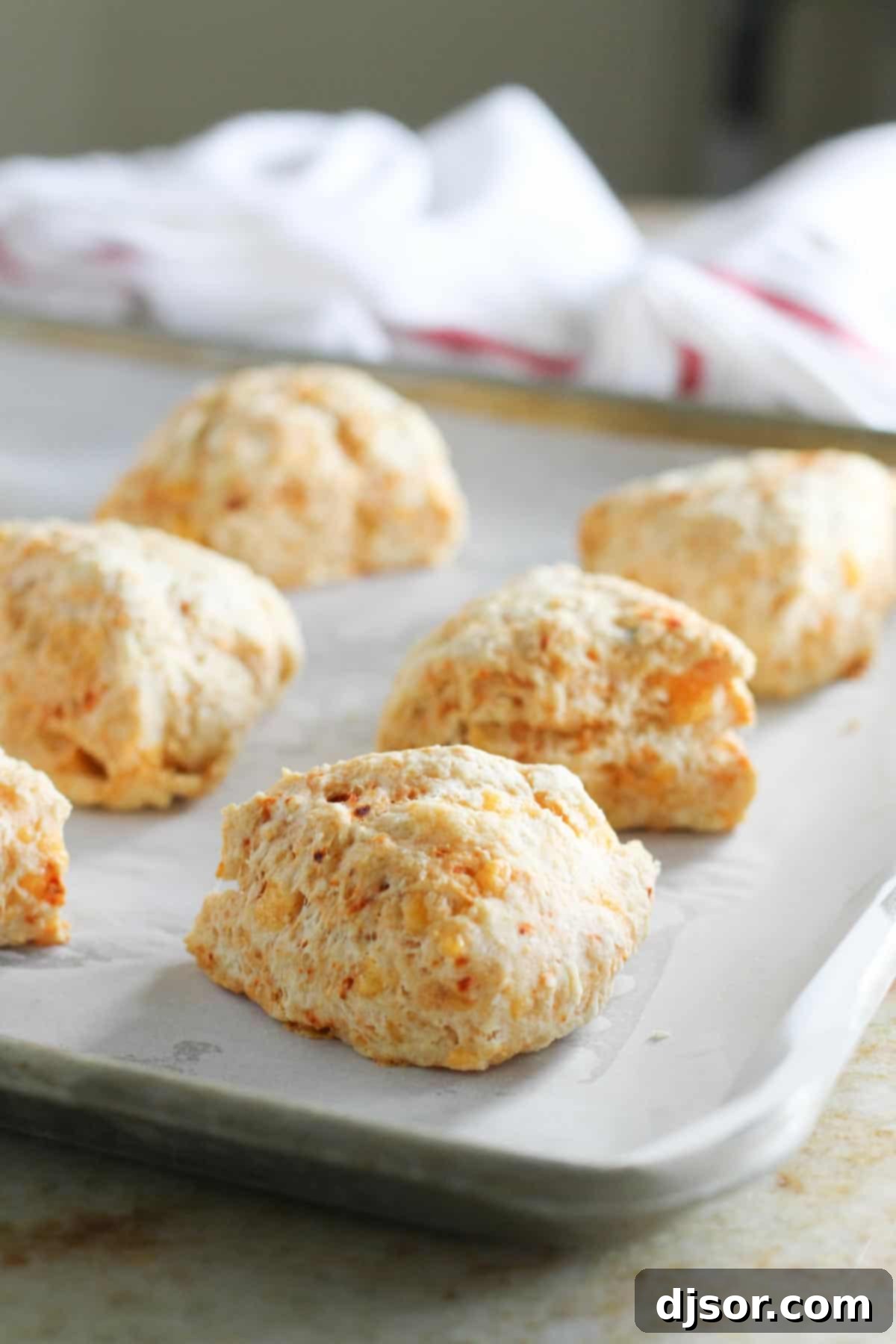 Freshly baked Chipotle Cheddar Scones arranged on a baking sheet, showcasing their golden-brown tops and cheesy texture.