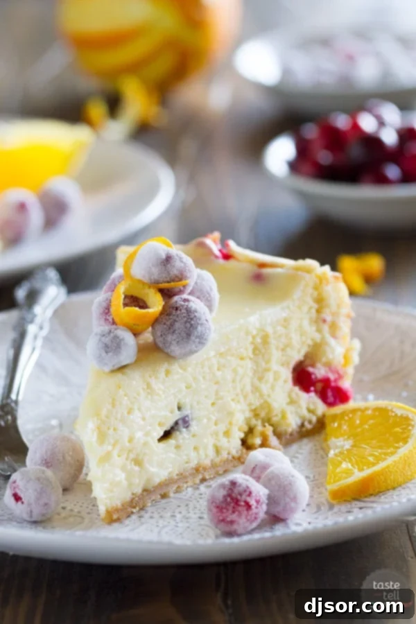 A perfectly portioned slice of Cranberry Orange Cheesecake, elegantly presented on a white plate with a garnish of sugared cranberries and a fresh mint sprig.
